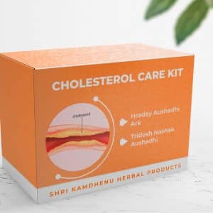 cholesterol care kit